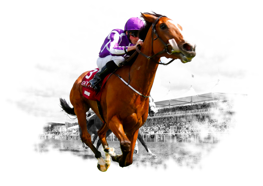 horse racing books betting sites