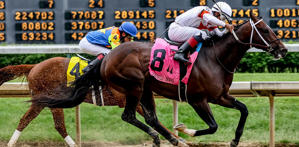 Online Gambling Horses