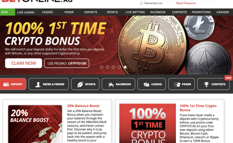 bol-preview-800x493.jpg