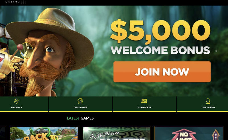 wild-preview-800x493.jpg