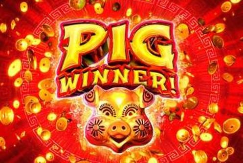 Pig Winner - Play RTG Slots