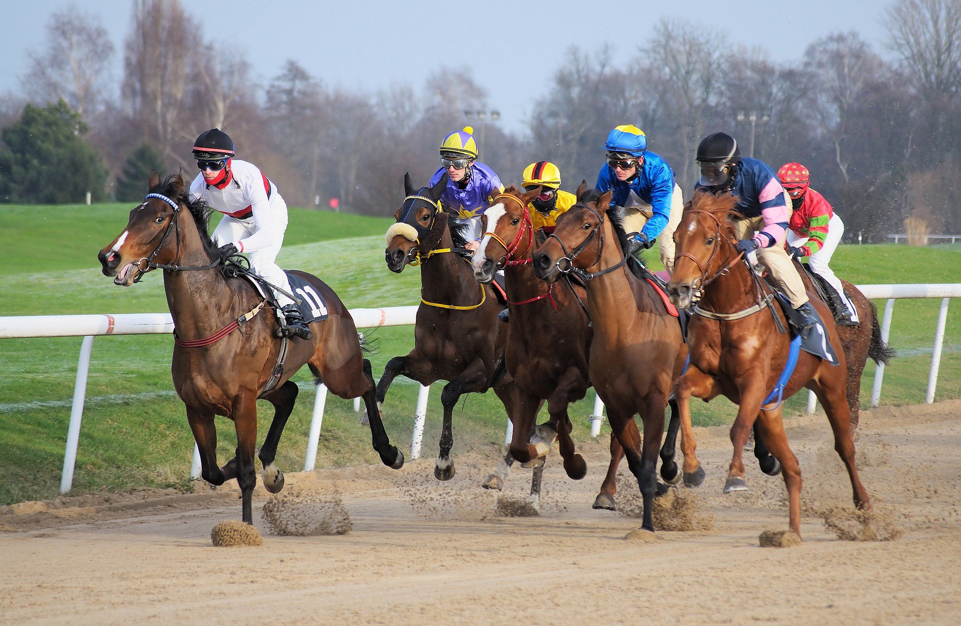 Lone Star Park Racing Preview