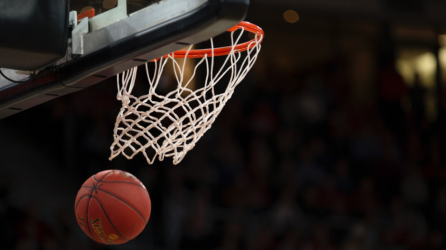 NBA Finals: Milwaukee Bucks vs Phoenix Suns Game 1 Odds