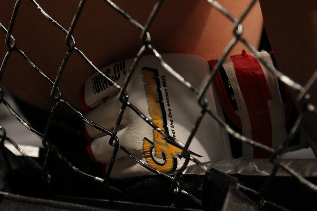 UFC Vegas 38 Odds: Thiago Santos vs Johnny Walker Preview