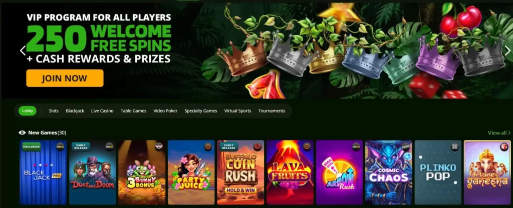 Wild Casino Welcome Bonus