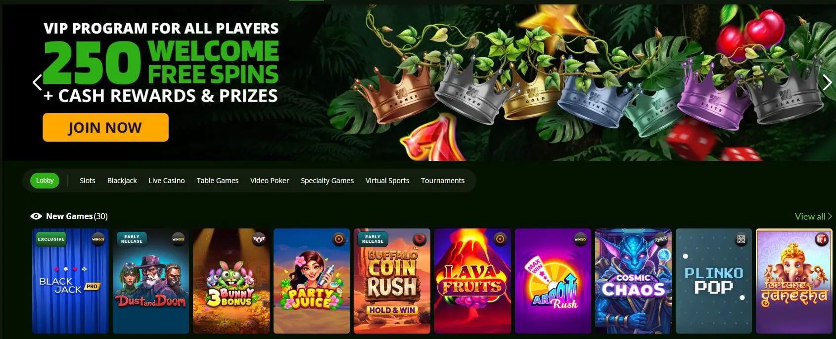 Wild Casino Welcome Bonus